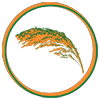 Small Millet